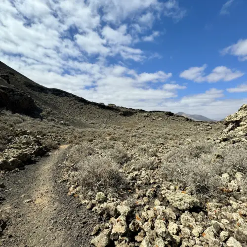 IMG_2399la arena trail_result